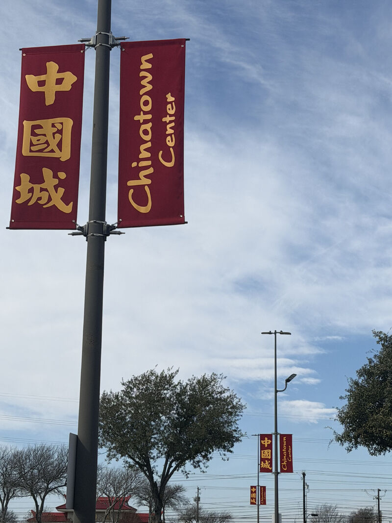 Pole banners identifying Chinatown Center along a roadway.